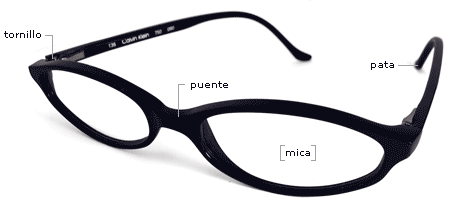 señalando correctamente